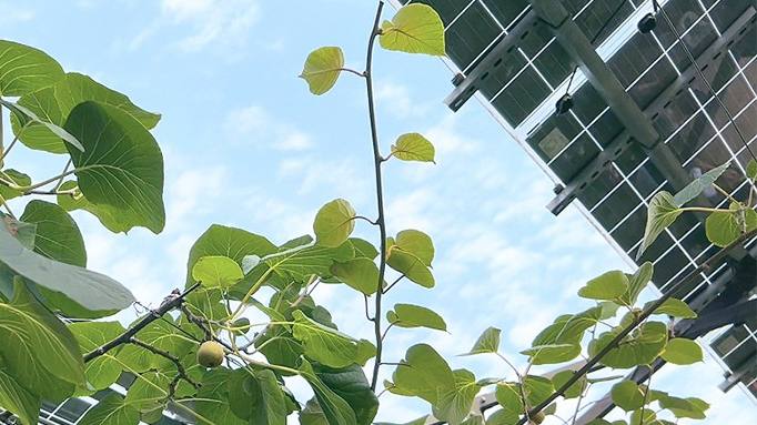 ����� | �ٷ���վ