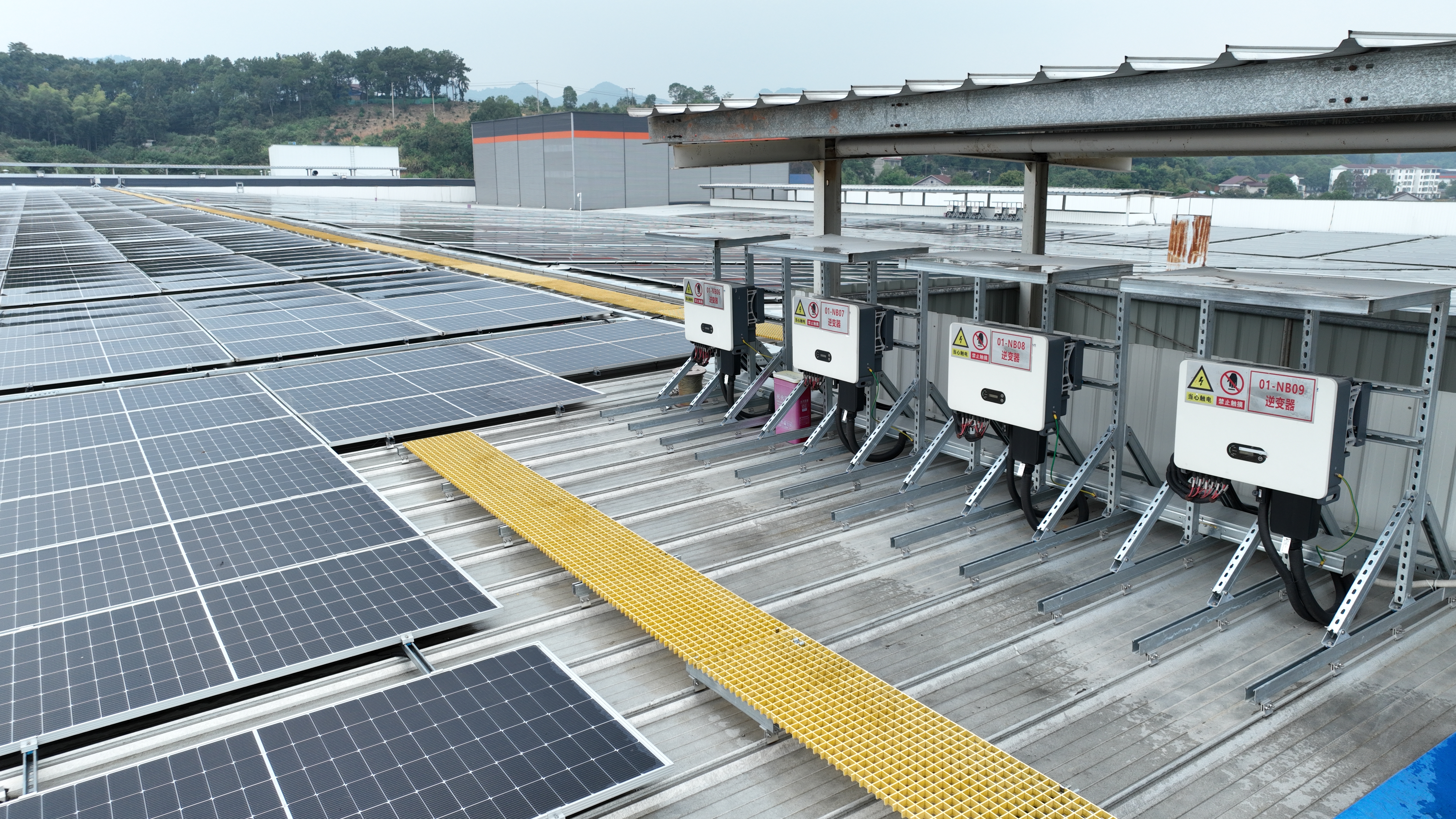 1695086865225037720.jpg DJI_0415(1).jpg