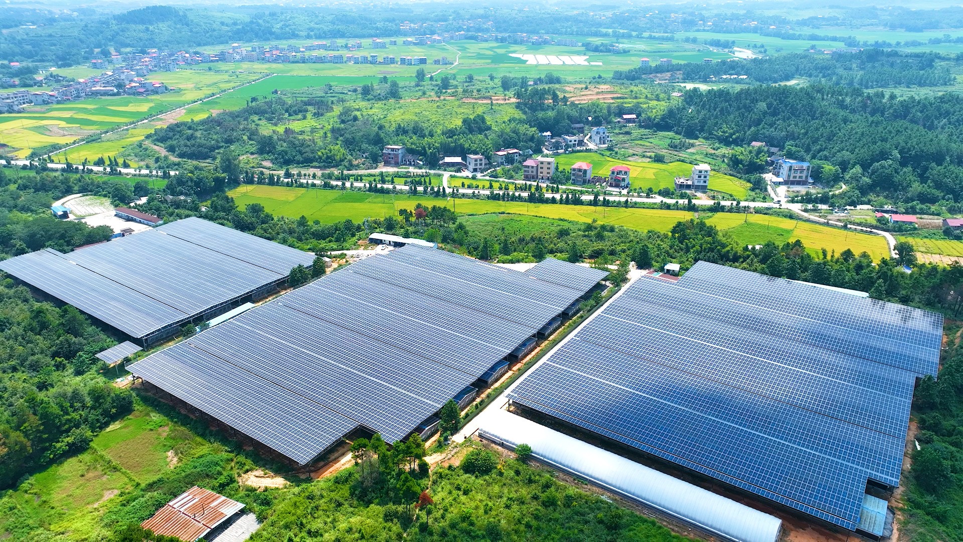 ����� | �ٷ���վ