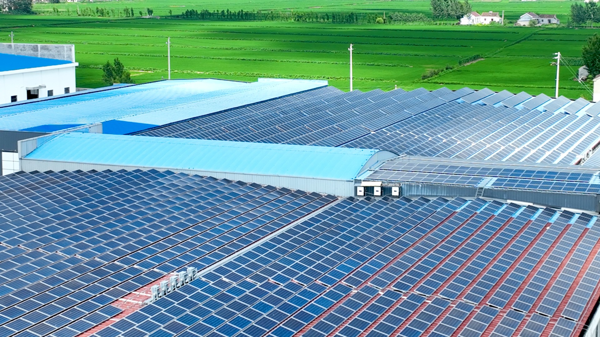 ����� | �ٷ���վ